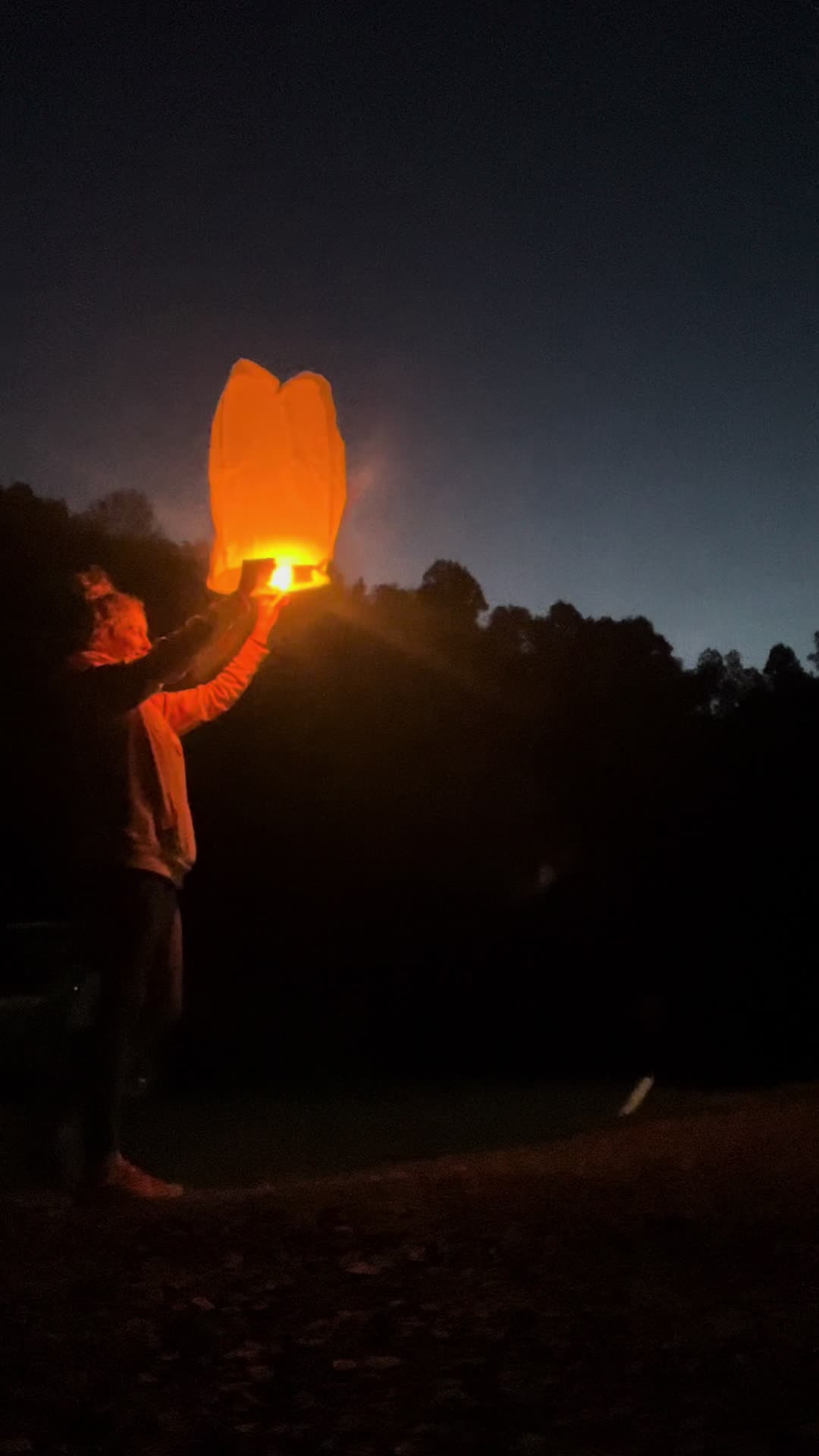 @wildflowers421