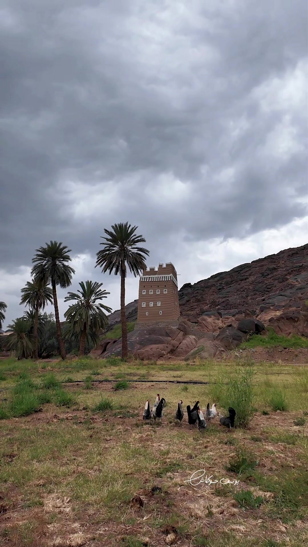@يوسف حوكاش