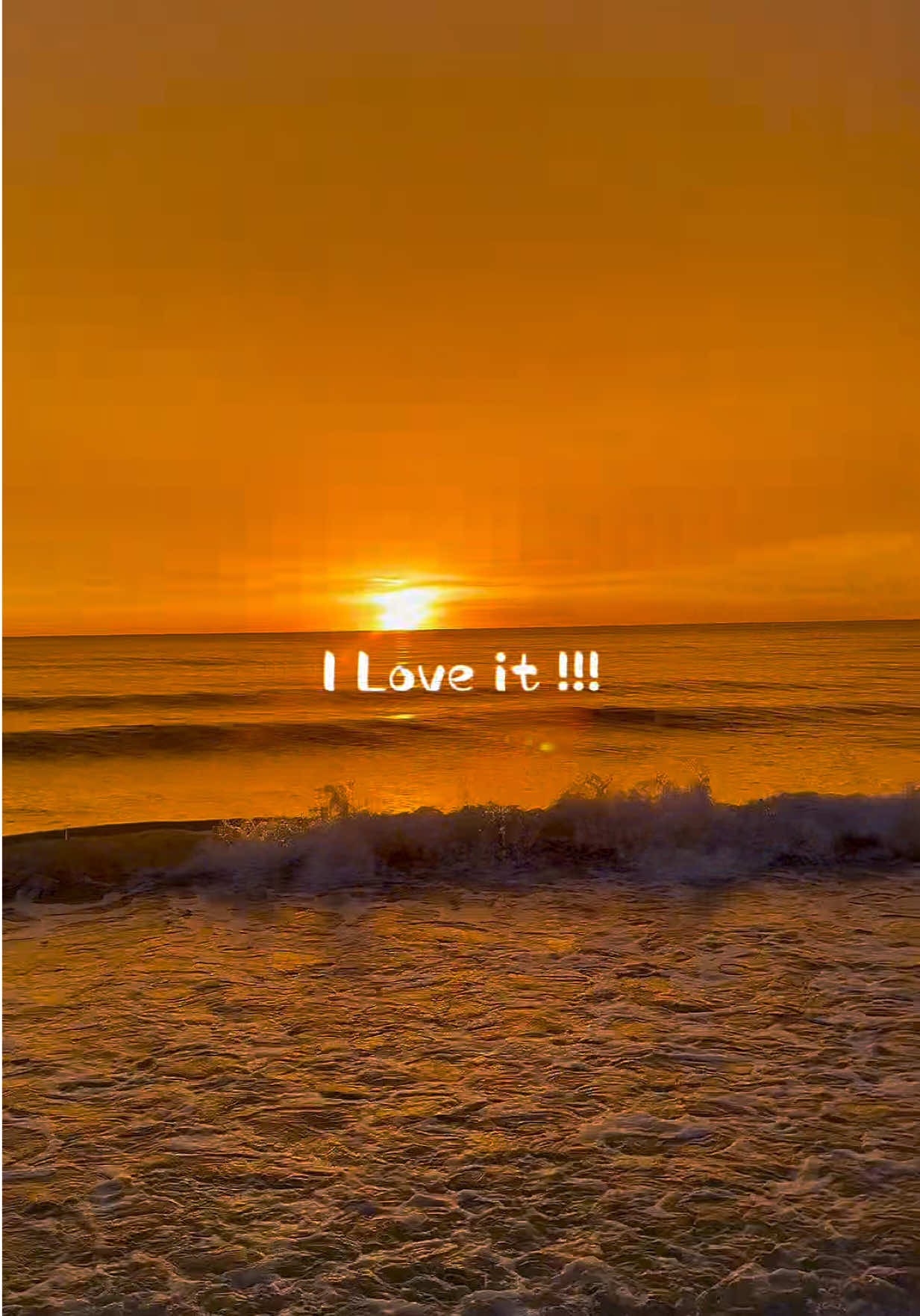 @🌺🐚🌴SarahMay🌴🐚🌺