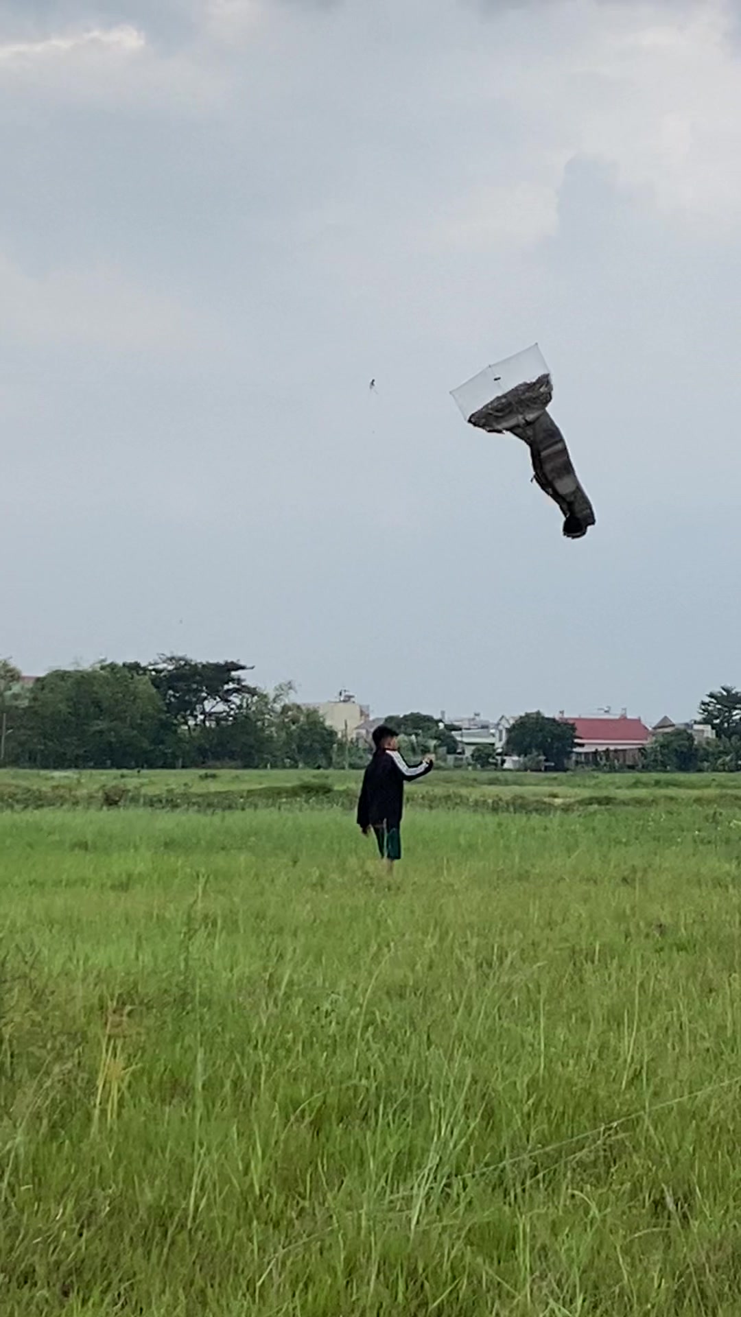 @Thả diều cùng Lợi