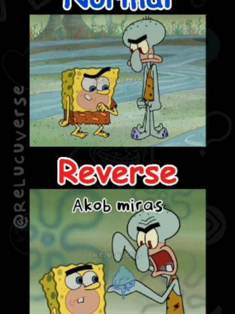 @ReLucuVerse
