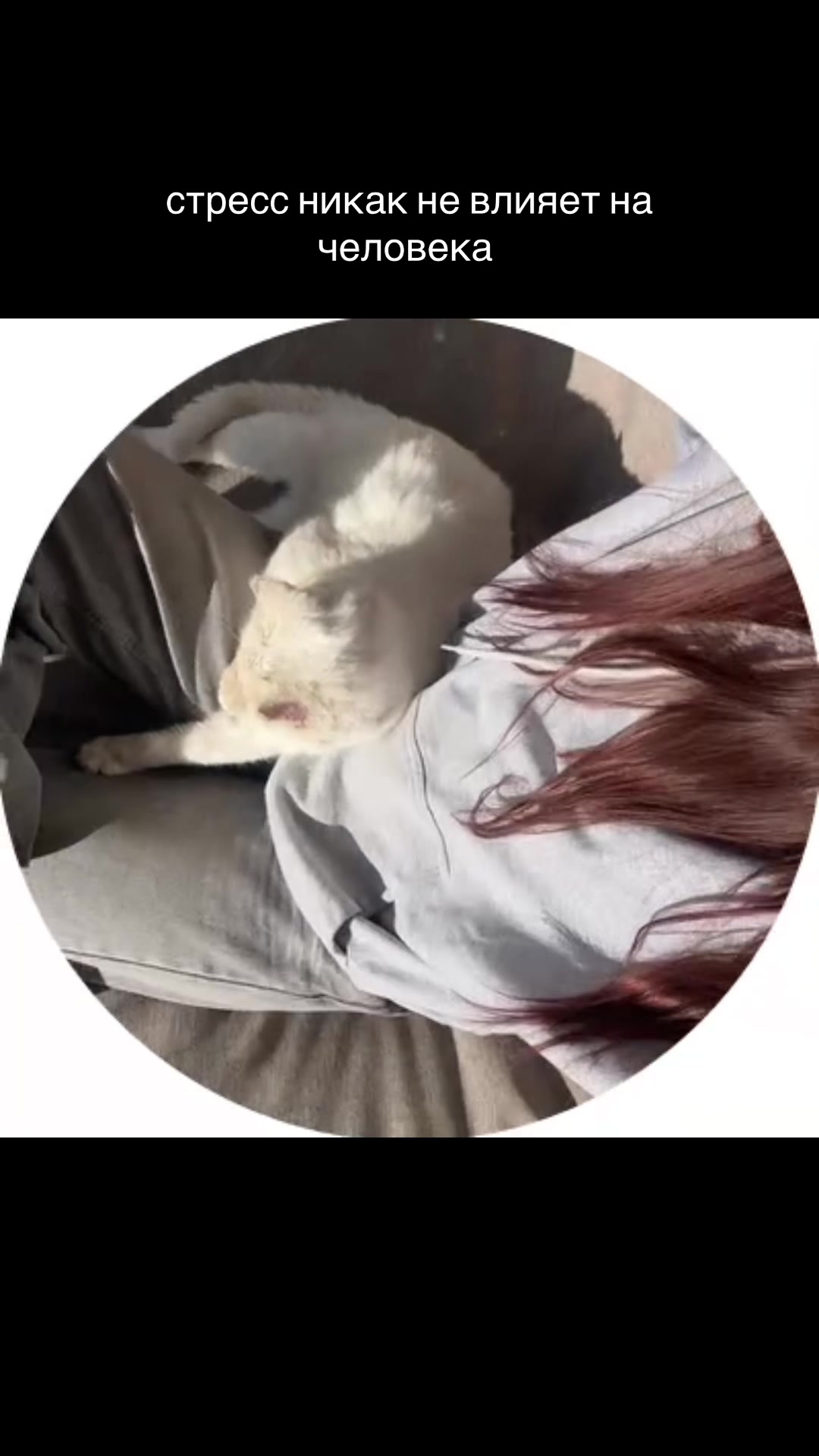 @saniii🛐