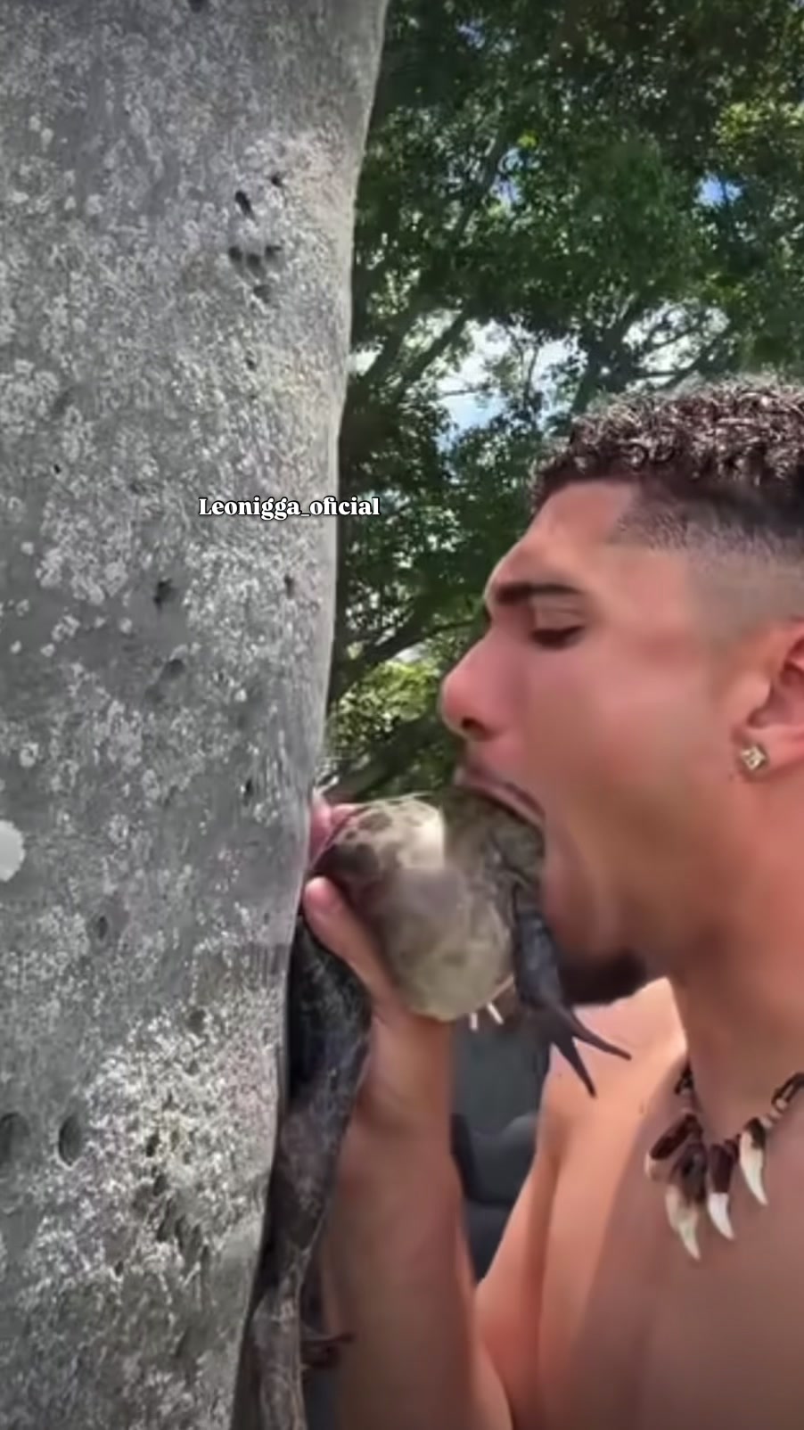 @leonigg2