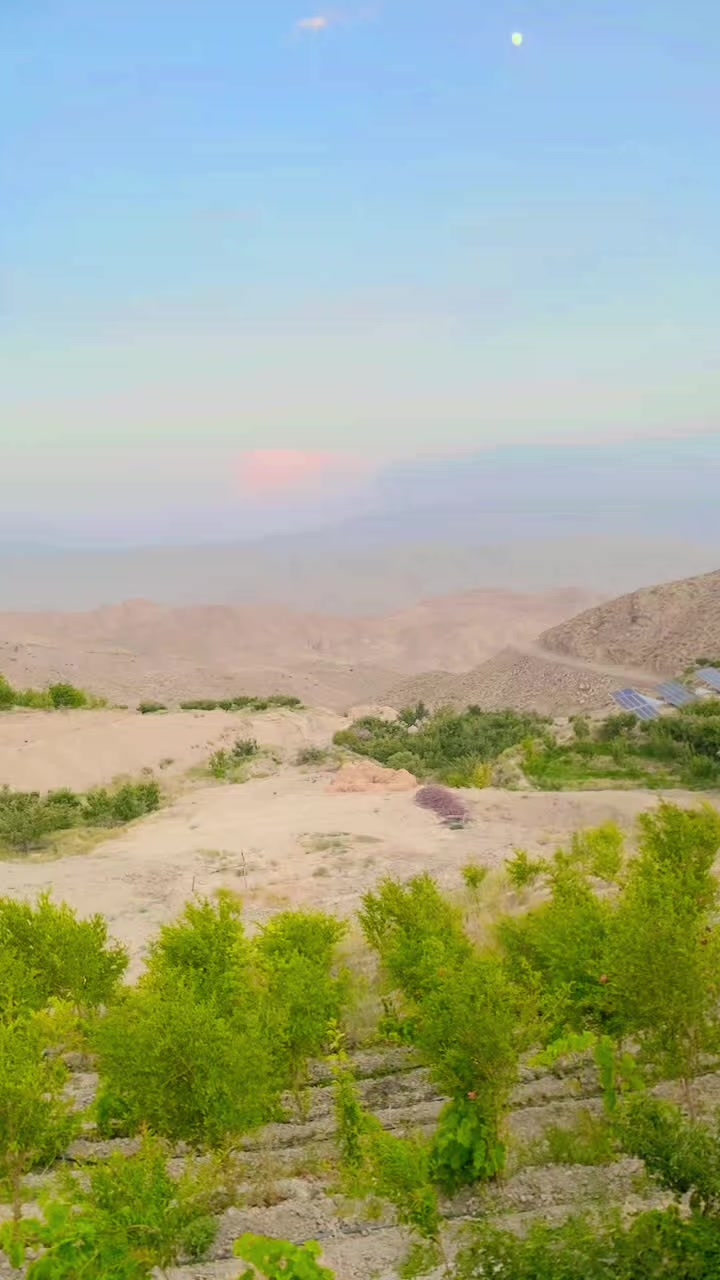 @جمیل خان