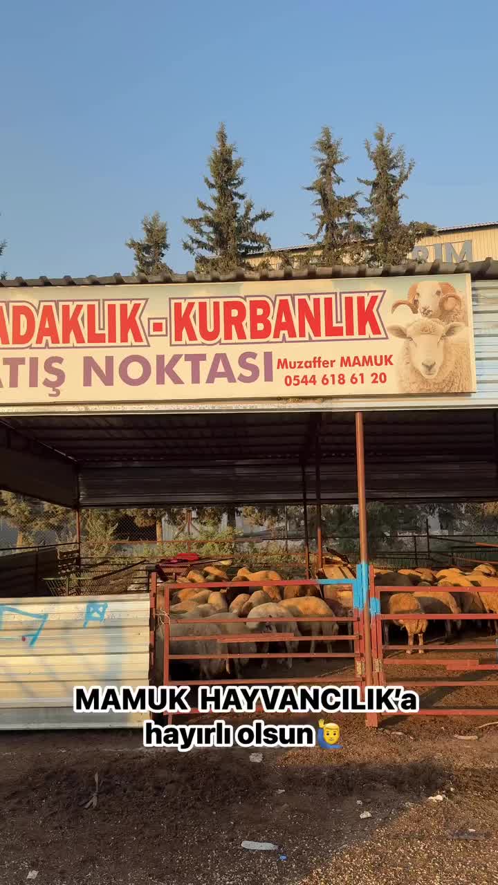 @Ceyhan yemlik