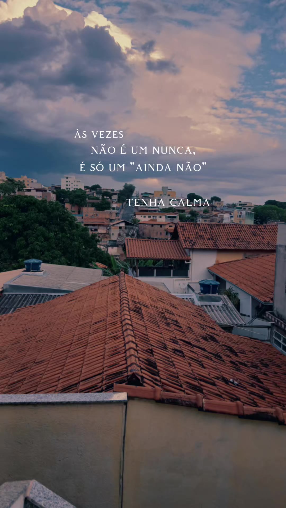 @Leandro Miranda
