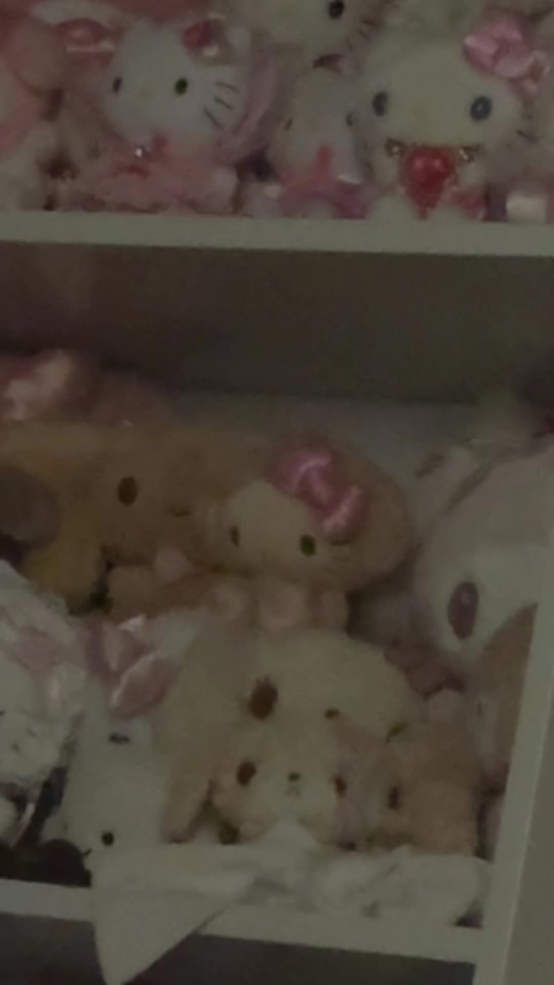 @Pelulu💗
