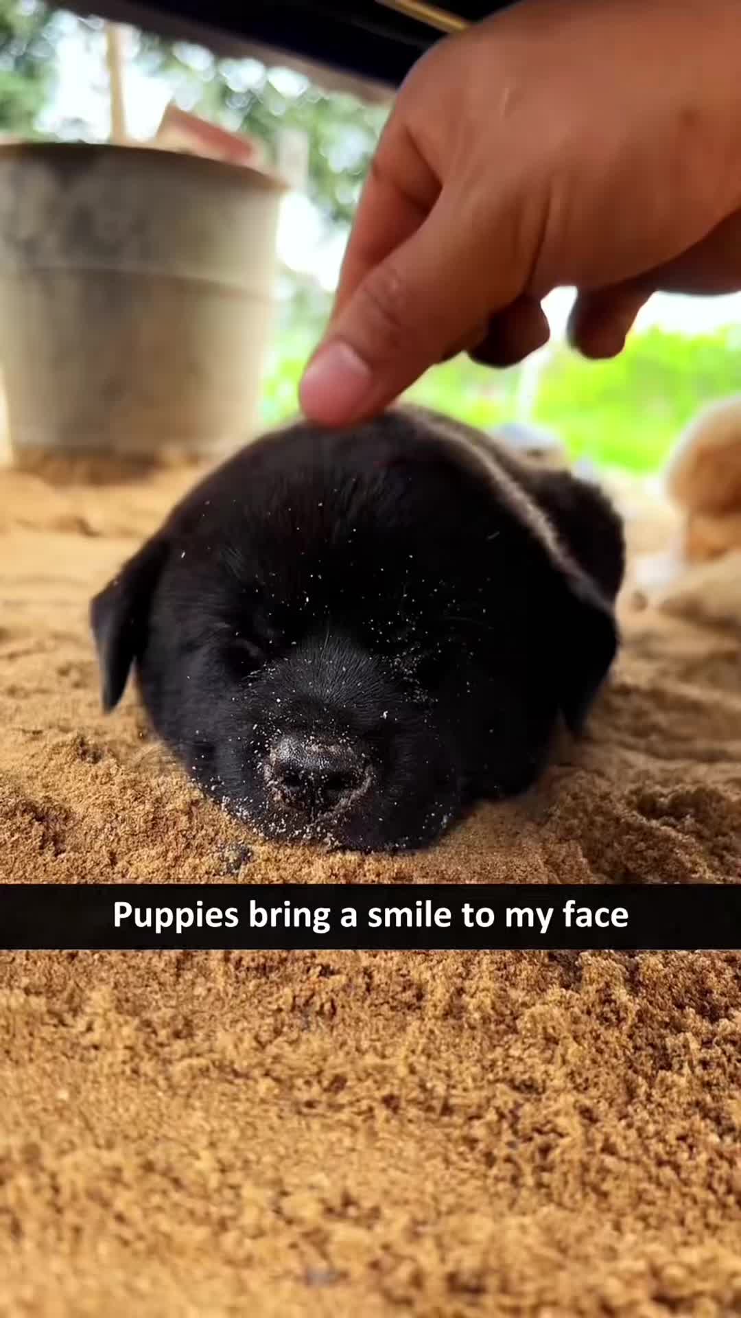 @cuteanimals472