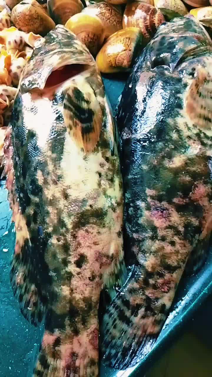 @muy muy❤❤