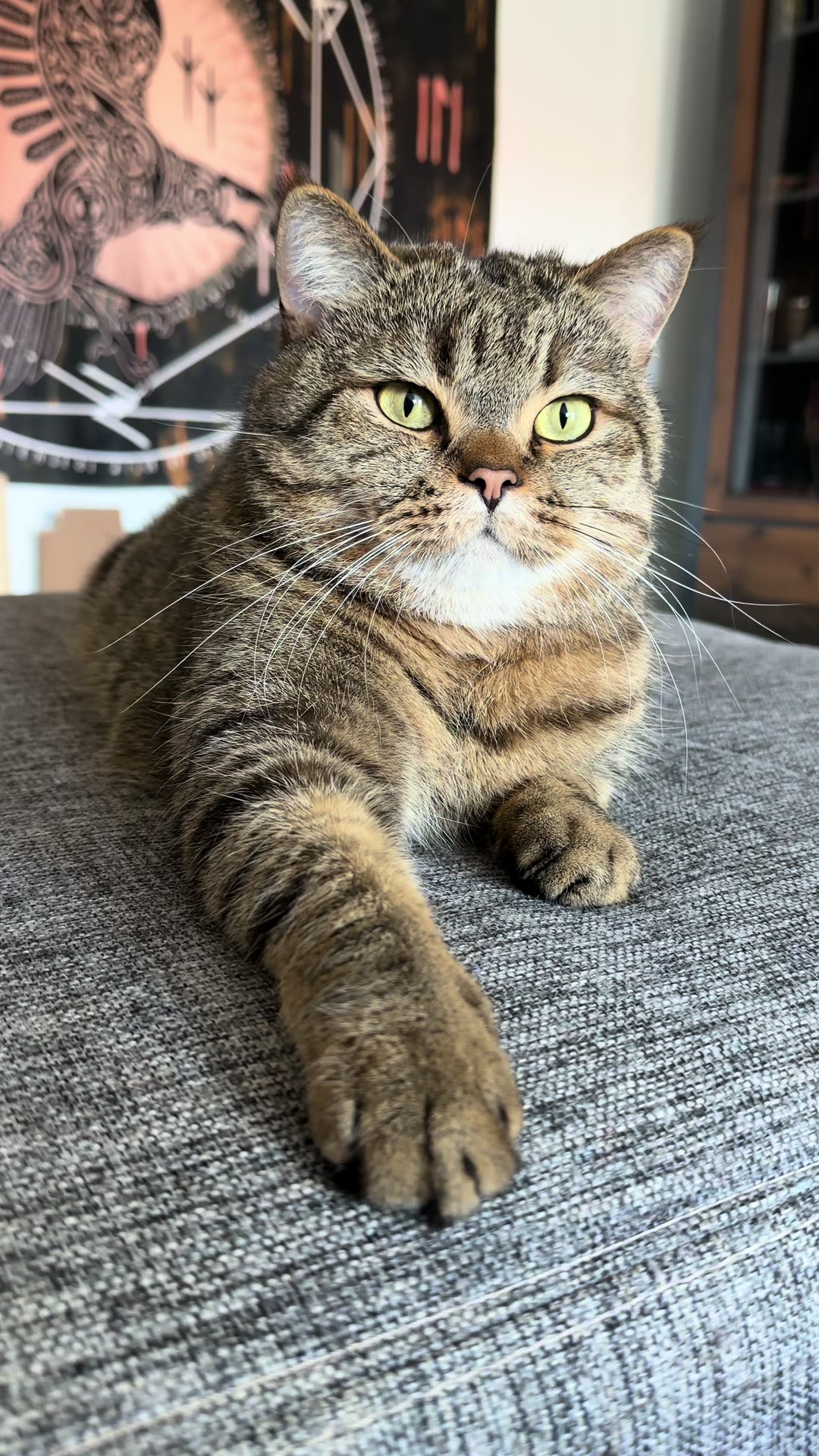 @Джоні 😻