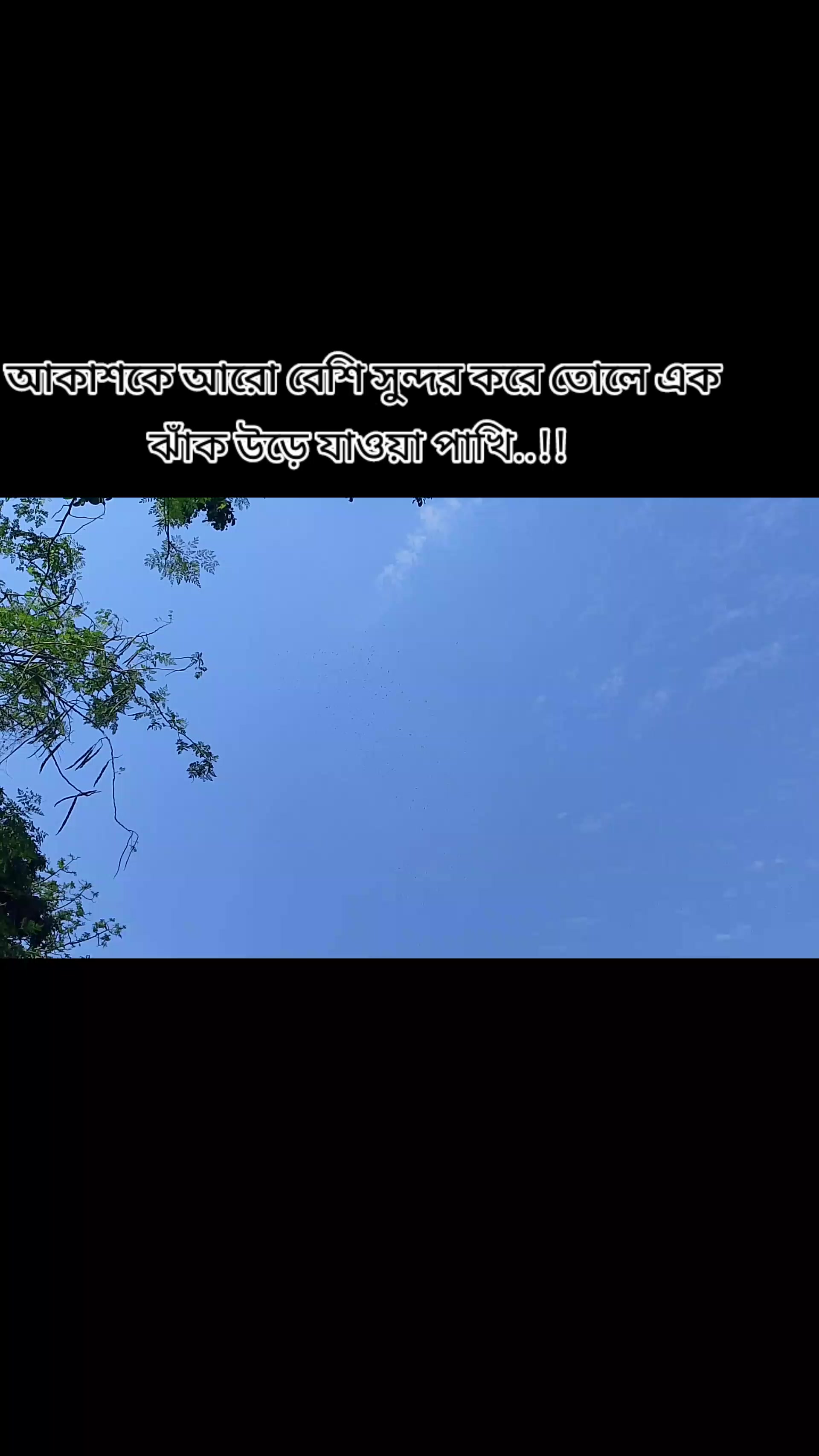 @Sumaya islam