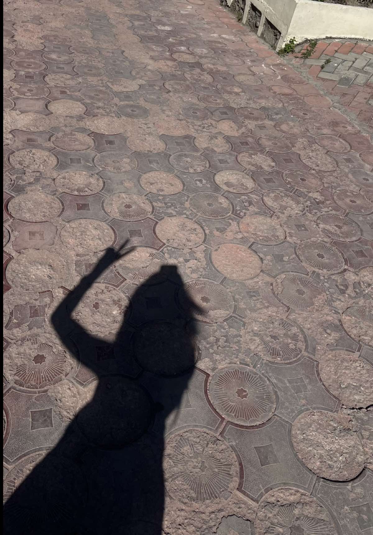 @maryammalik__1