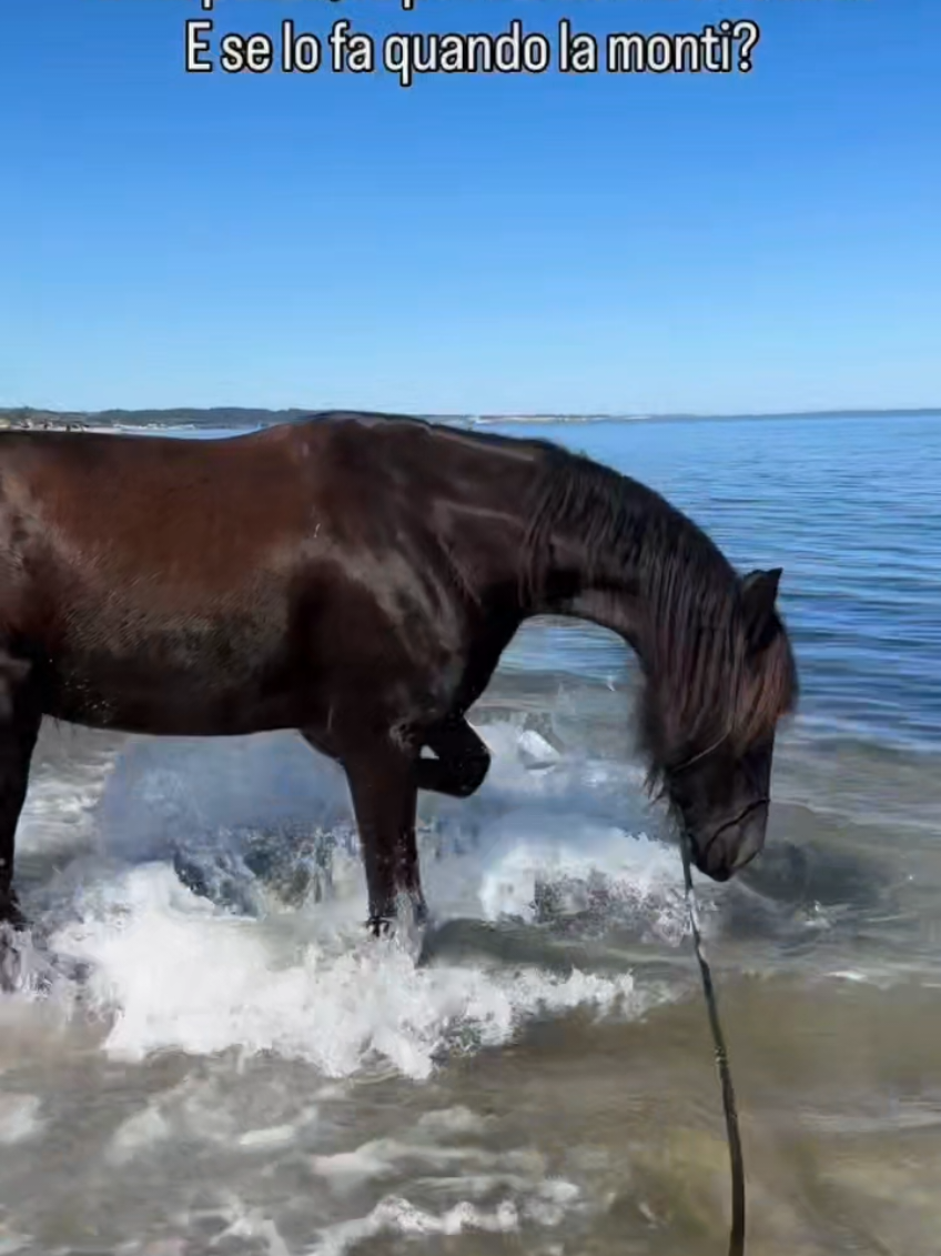 @streamhorse