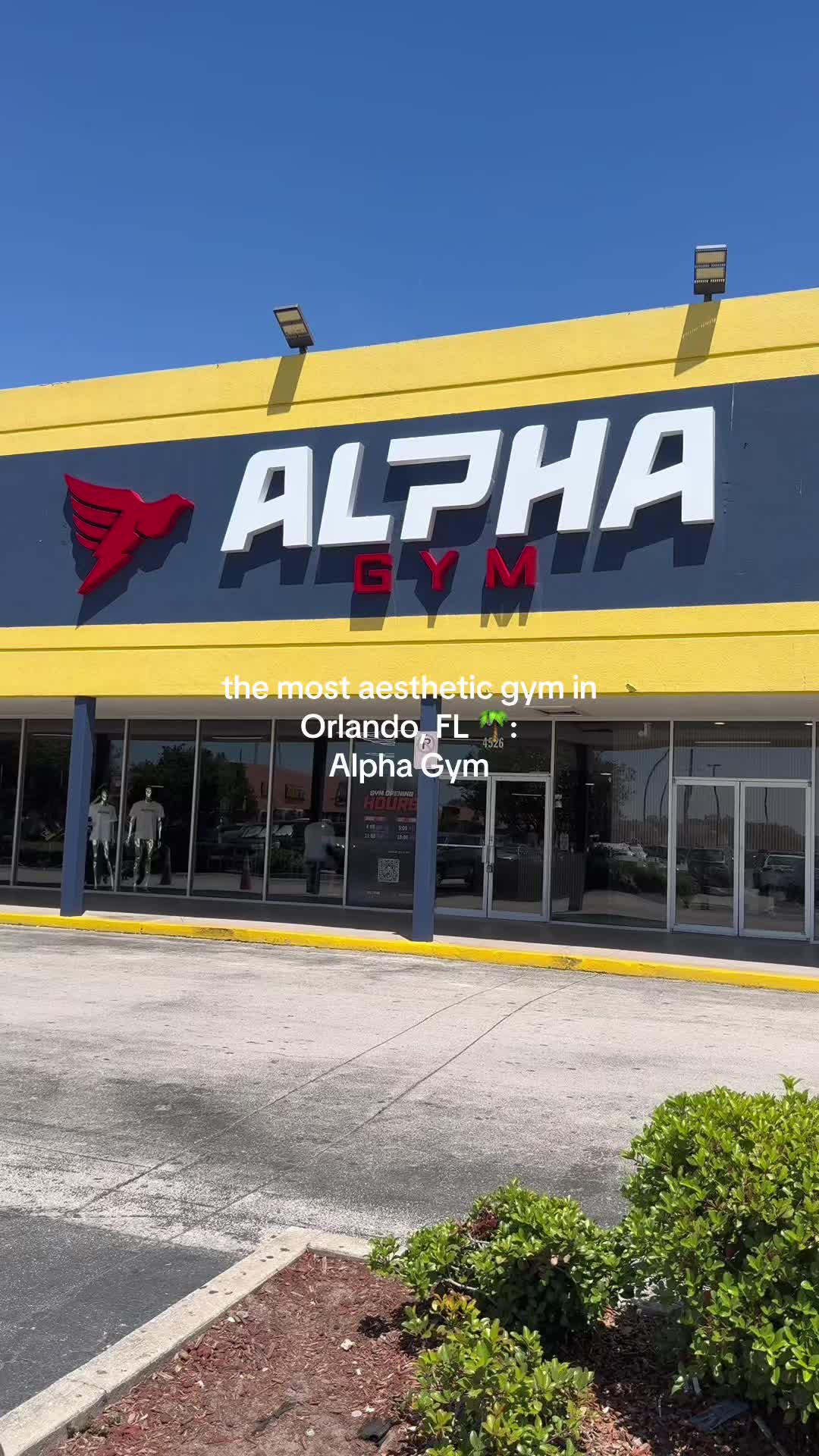 @brandonnyle