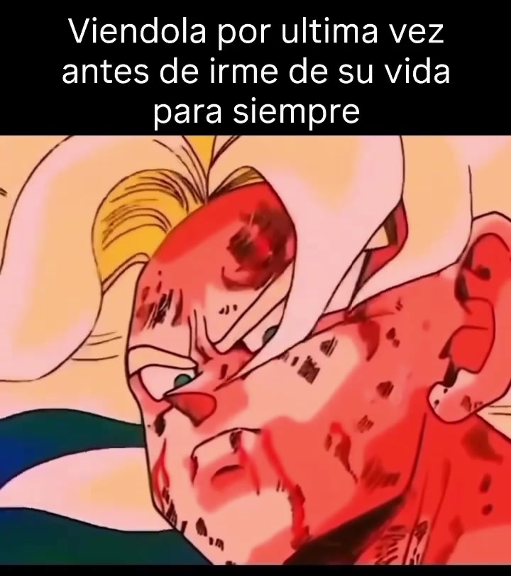 @Curiosidad sin l&iacute;mites.