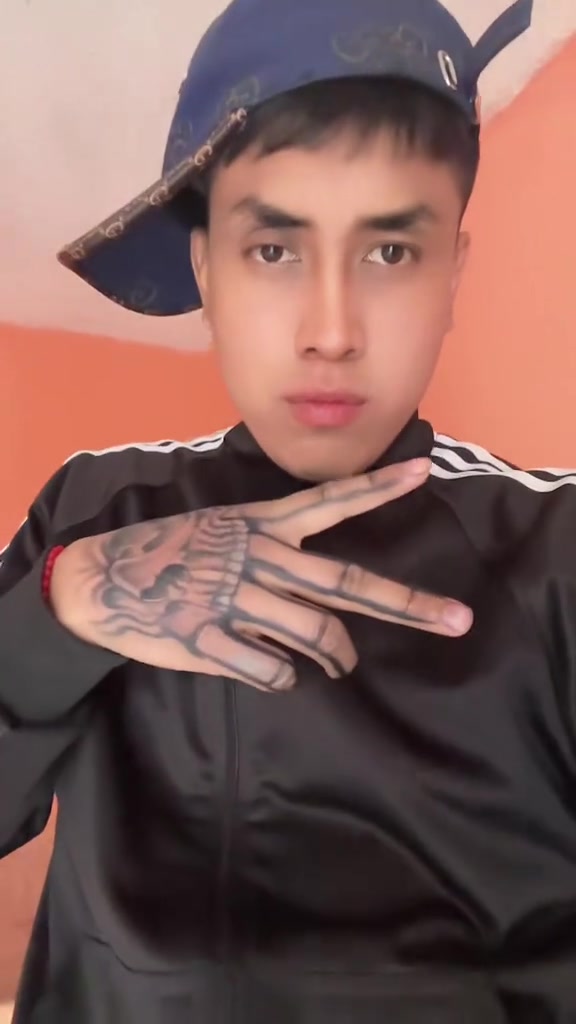 @tigrillo_mx