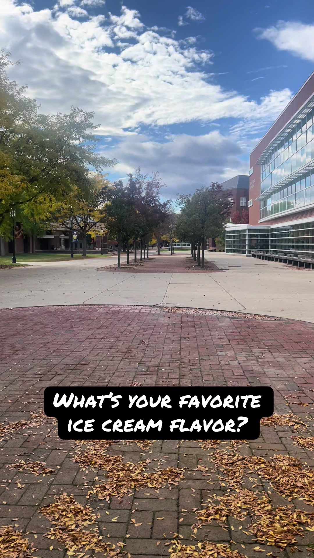 @HNN (Taylor’s Version)