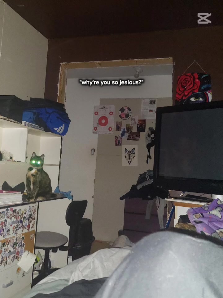 @AuriTheAce/Sirius