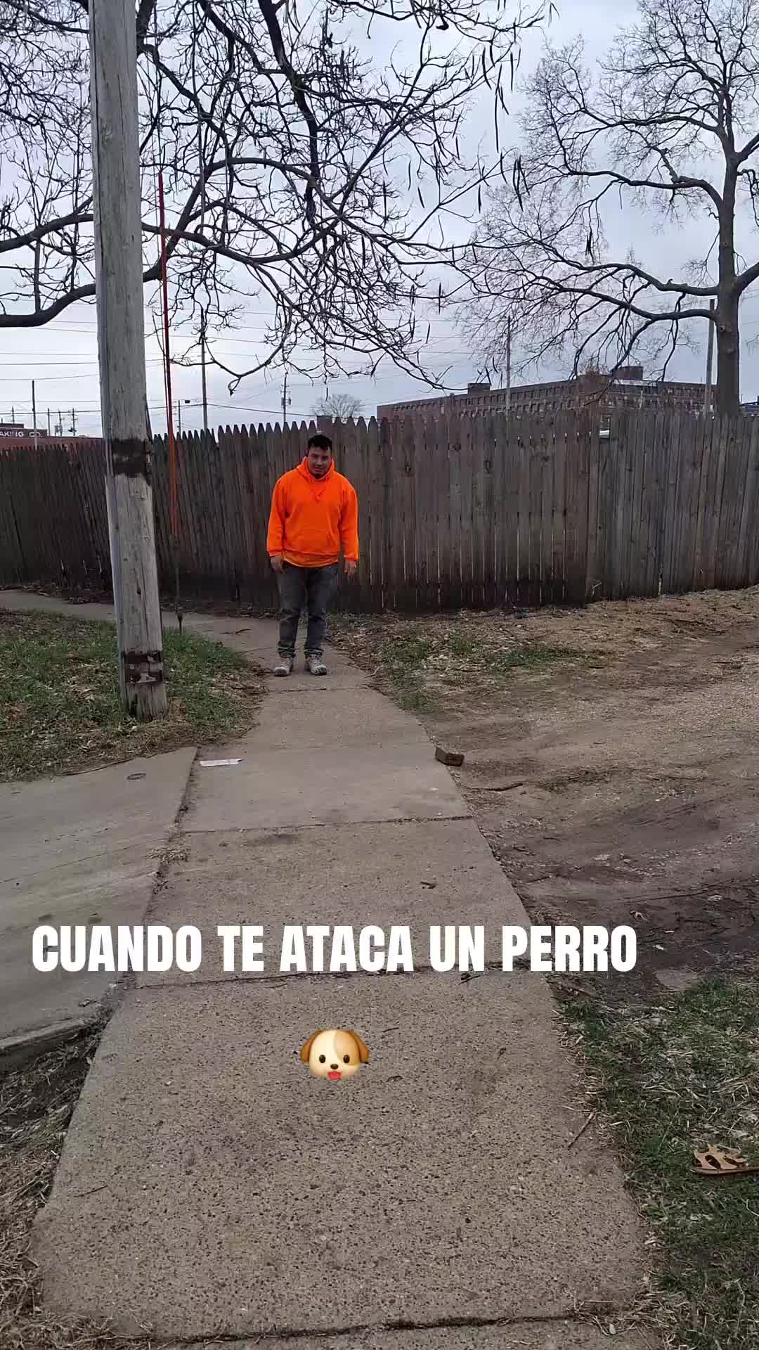 @manjar