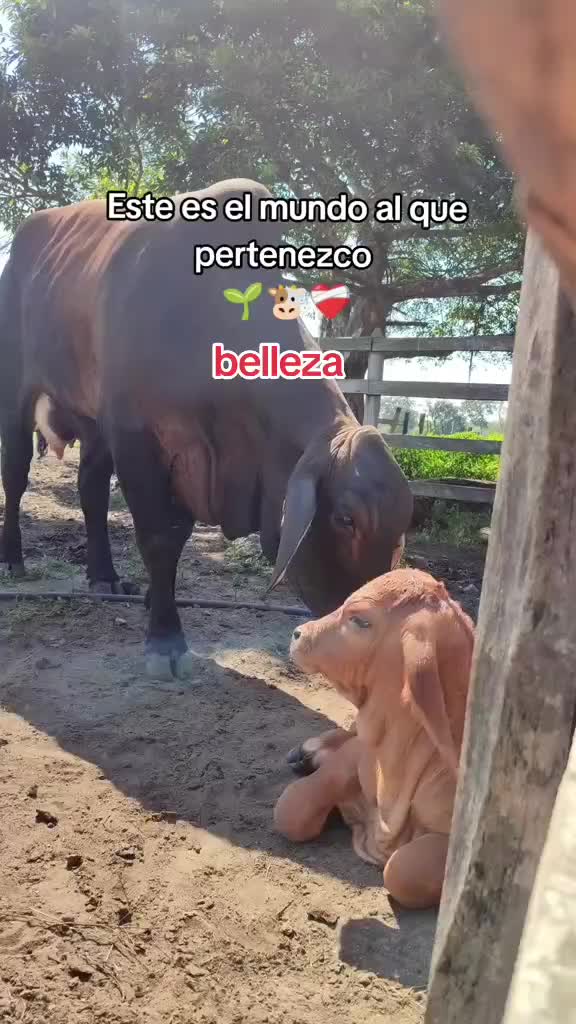 @NATURALEZARANCHO