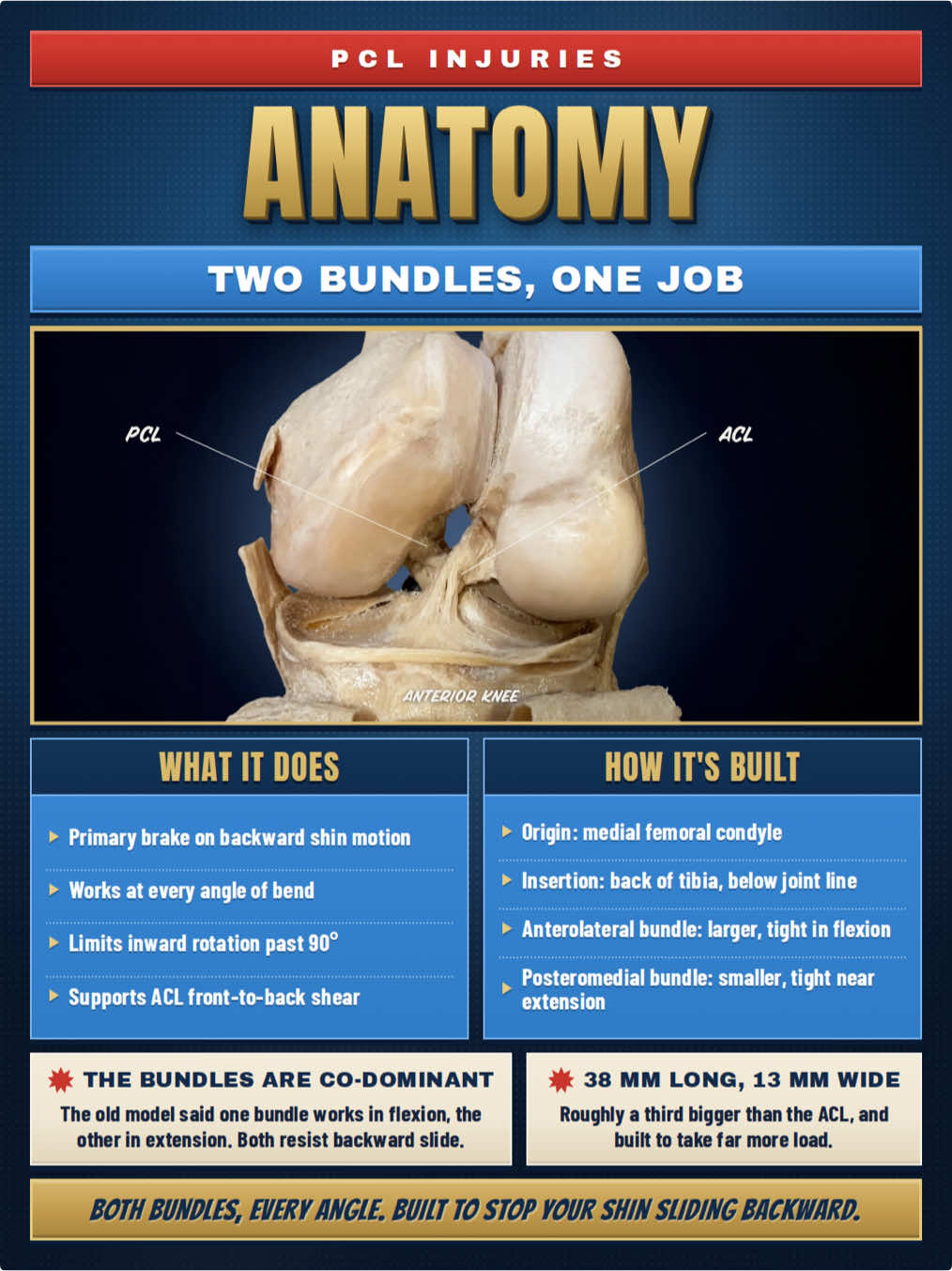 @Bone Doctor - Joint Pain MD