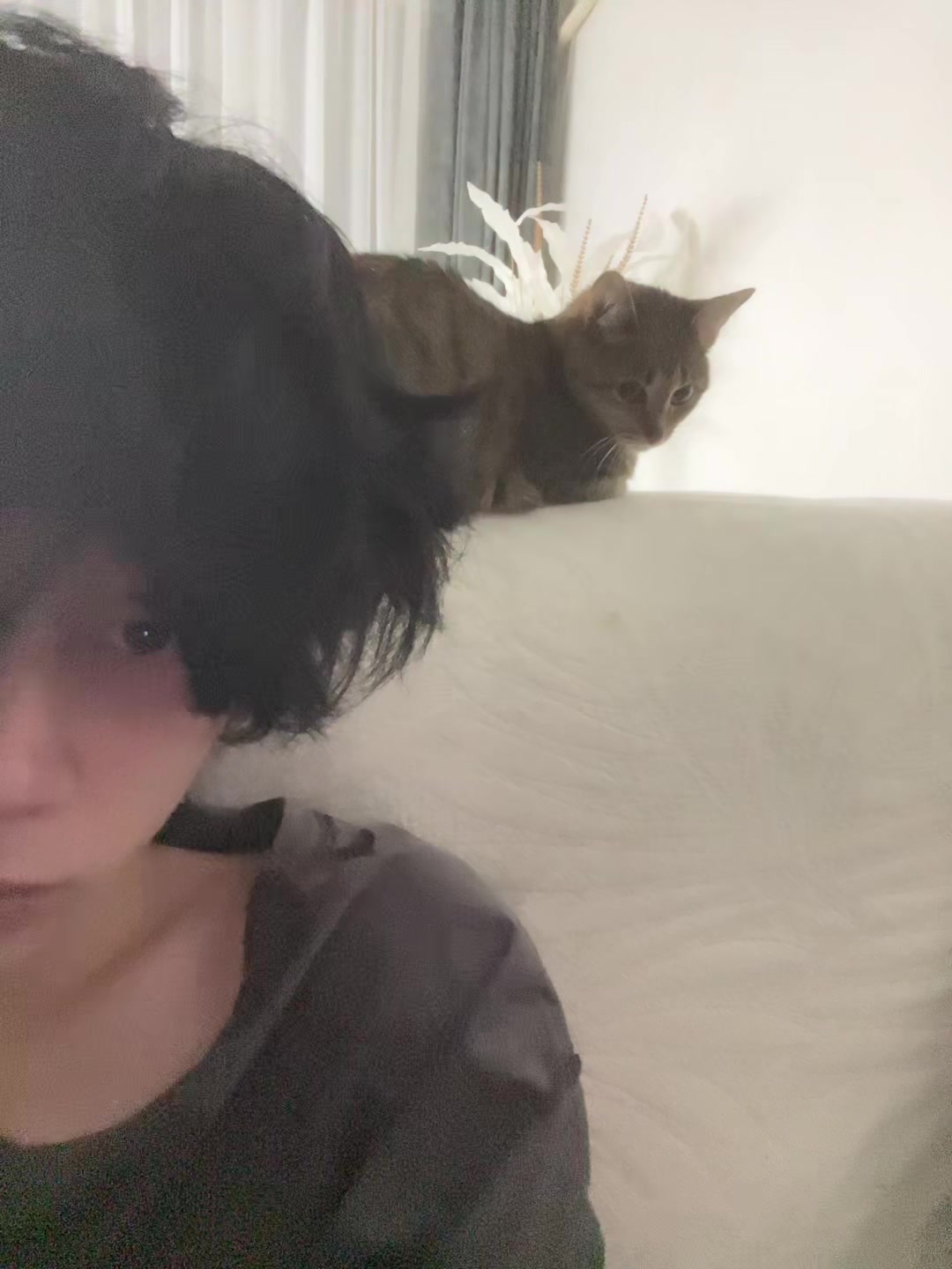 @tg: shizukumode
