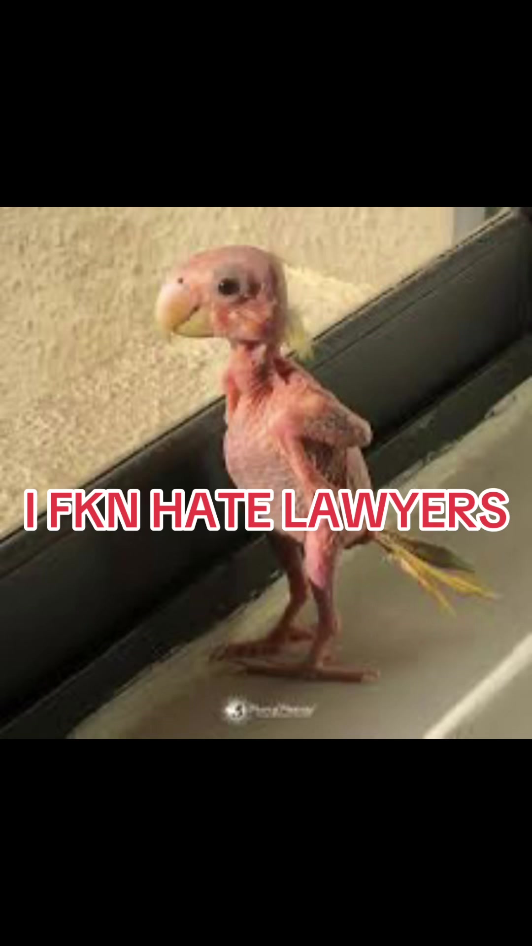@Light
