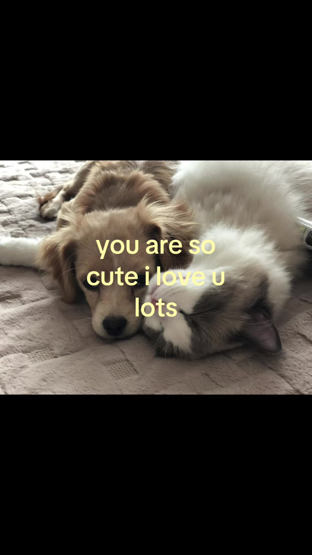 @rwnd