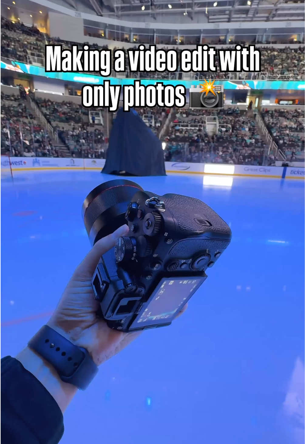 @San Jose Sharks