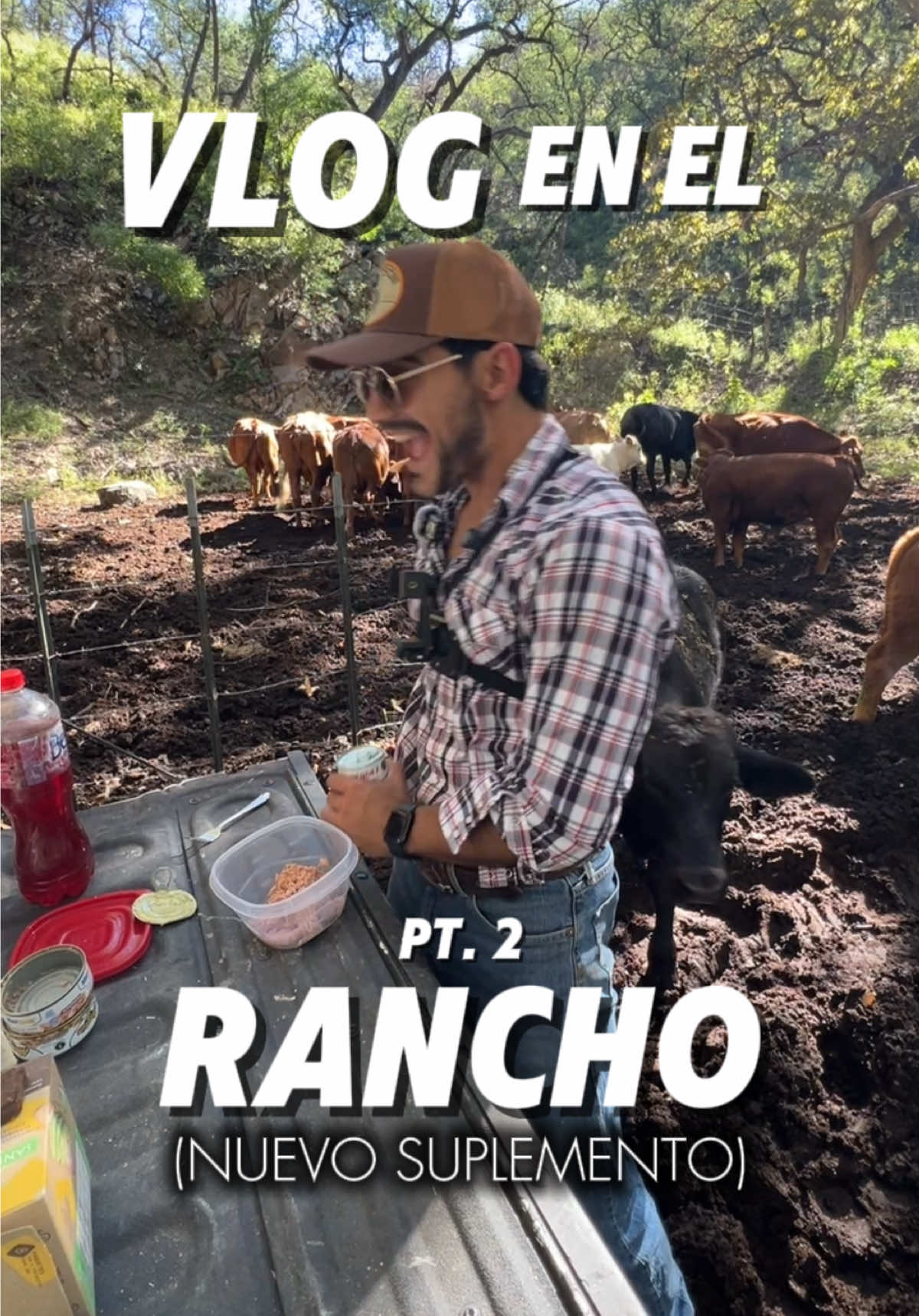 @Alejandro Molina