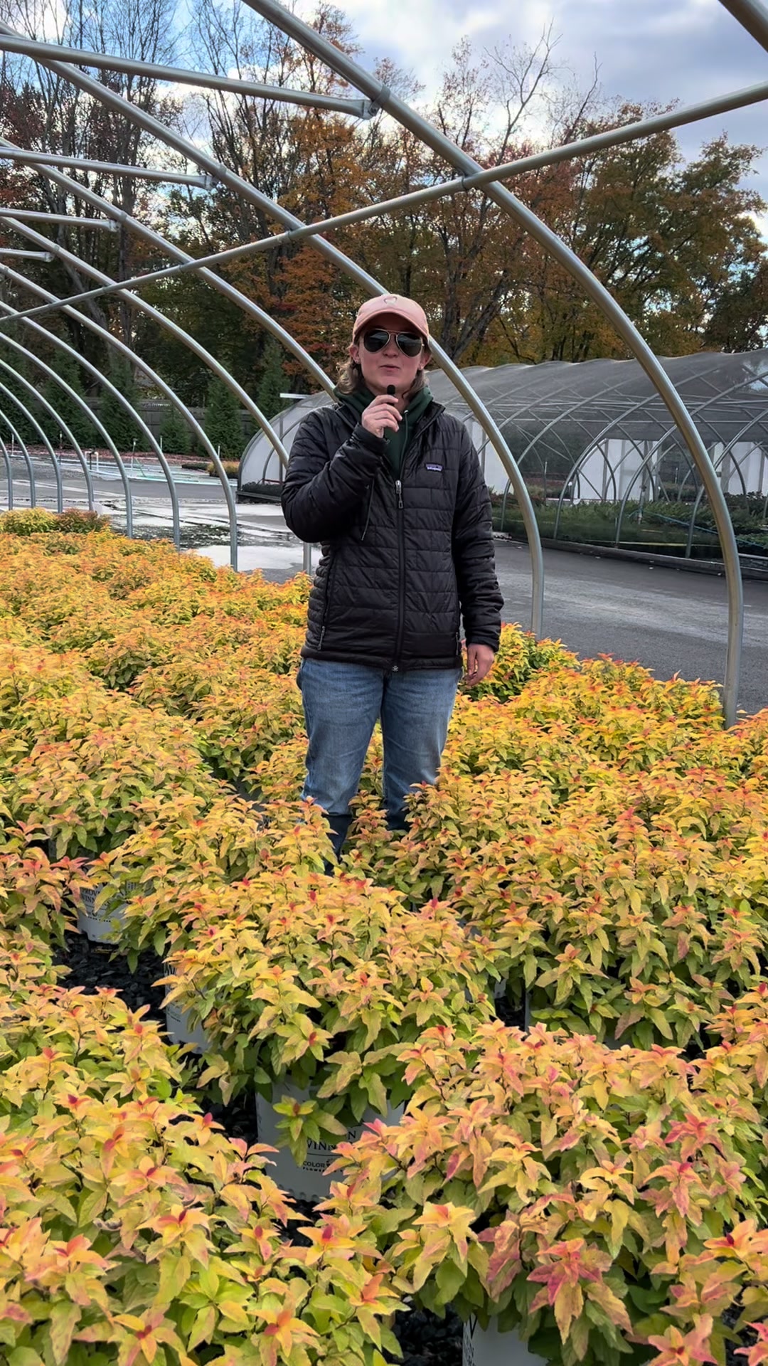 @The Perennial Farm