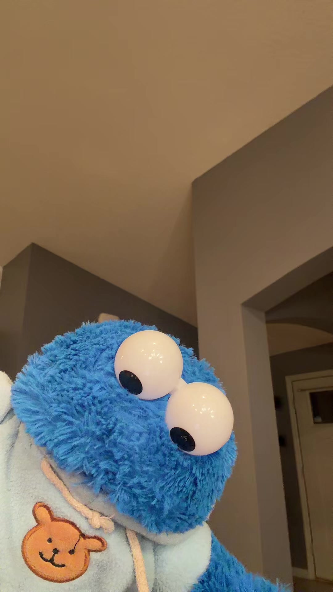 @puppetshowvideo