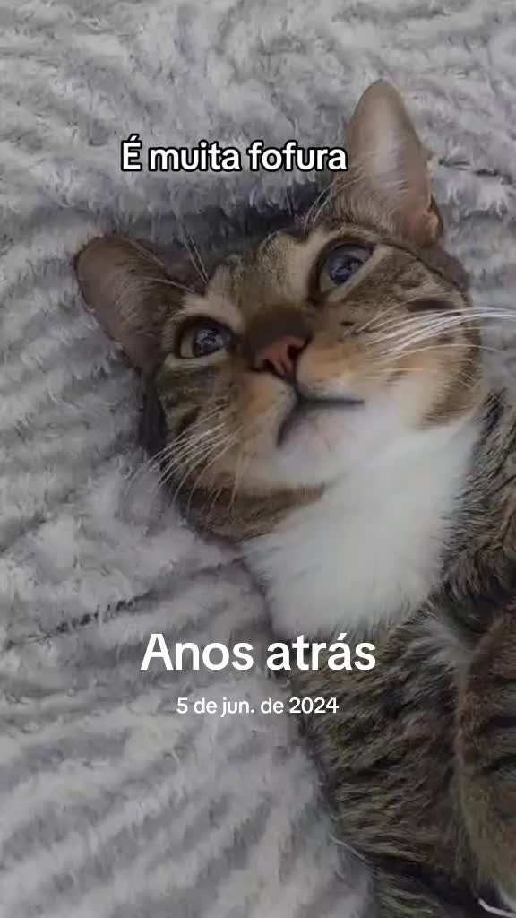 @Luci