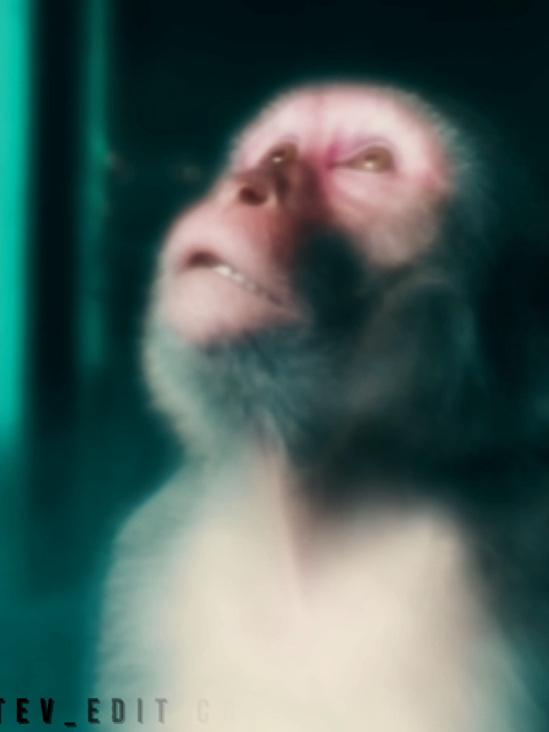 @𝑺𝑻𝑬𝑽_𝑬𝑫𝑰𝑻