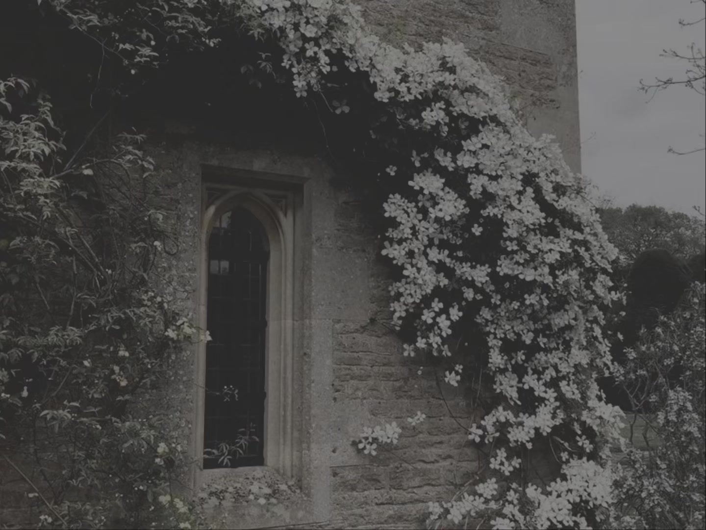 @ℳ⸆⸉🎧ྀི