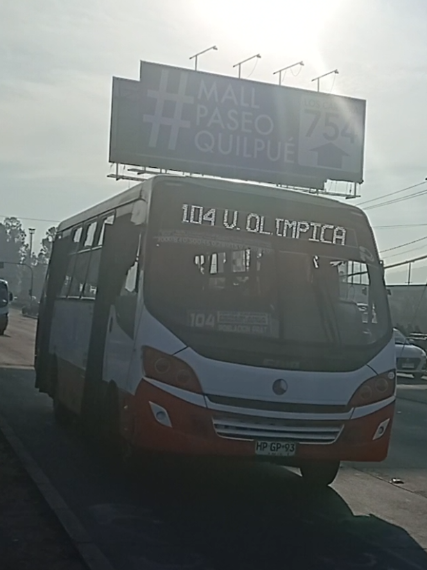 @busologia_wasabi