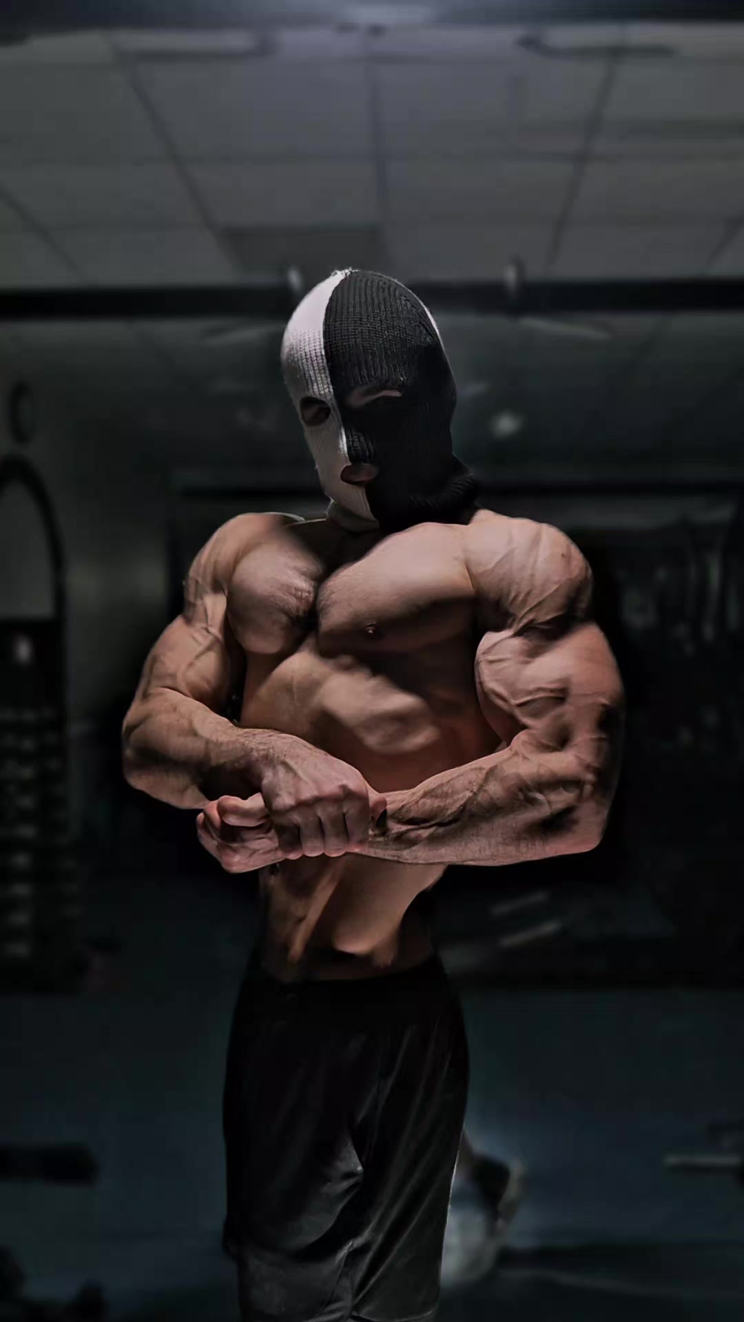 @Muscle_armour