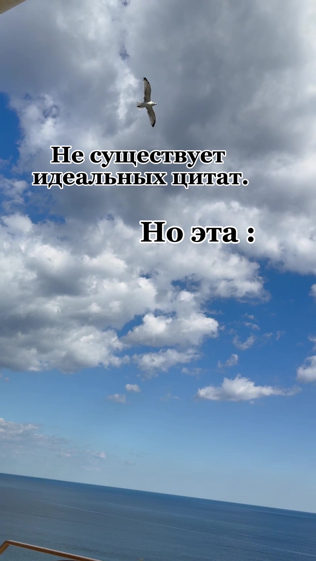 @Рыжий КРОЛИК