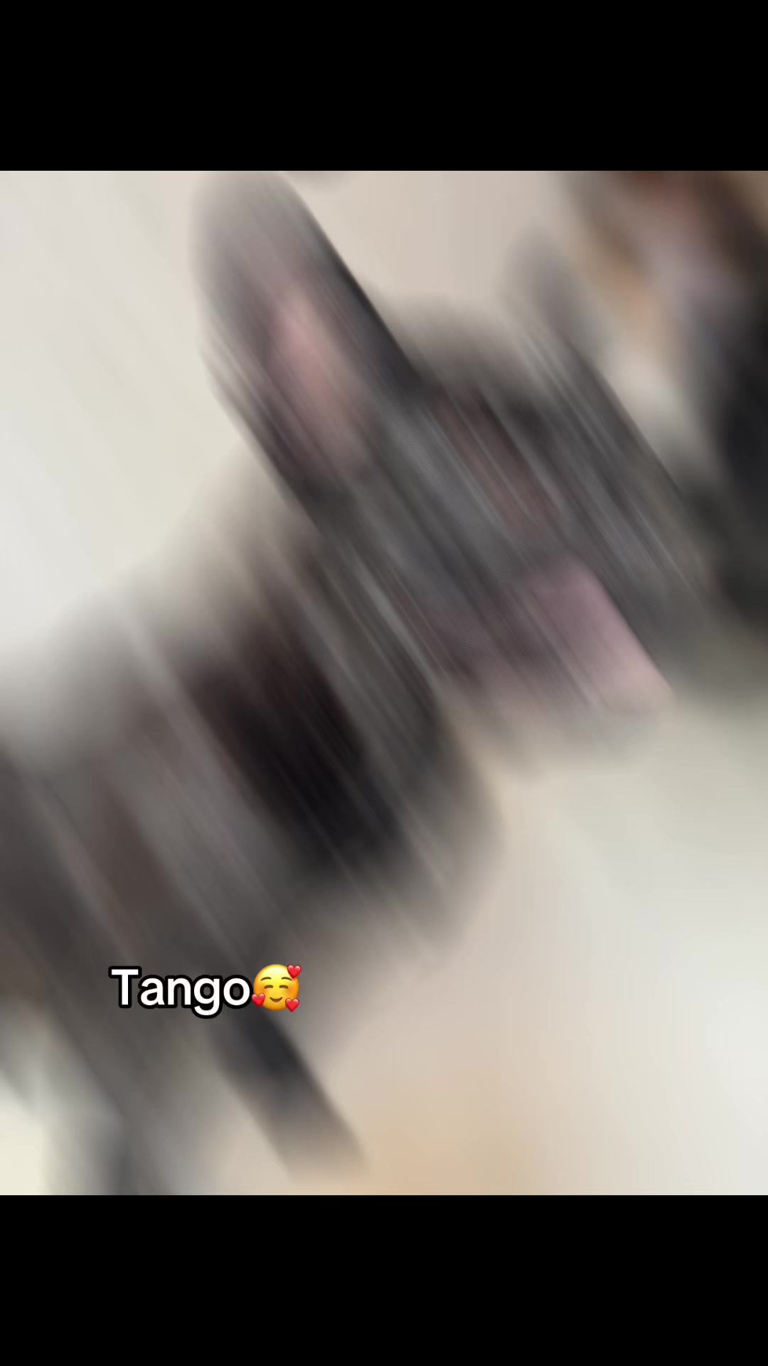 @Stefi CR 🤑