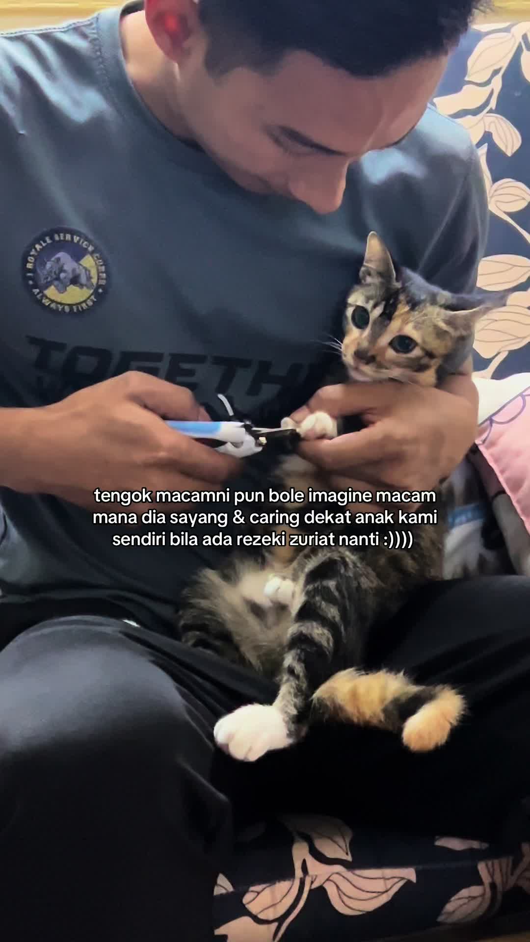 @piqa.