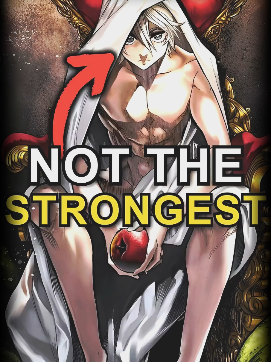 @Anime Theory Vault