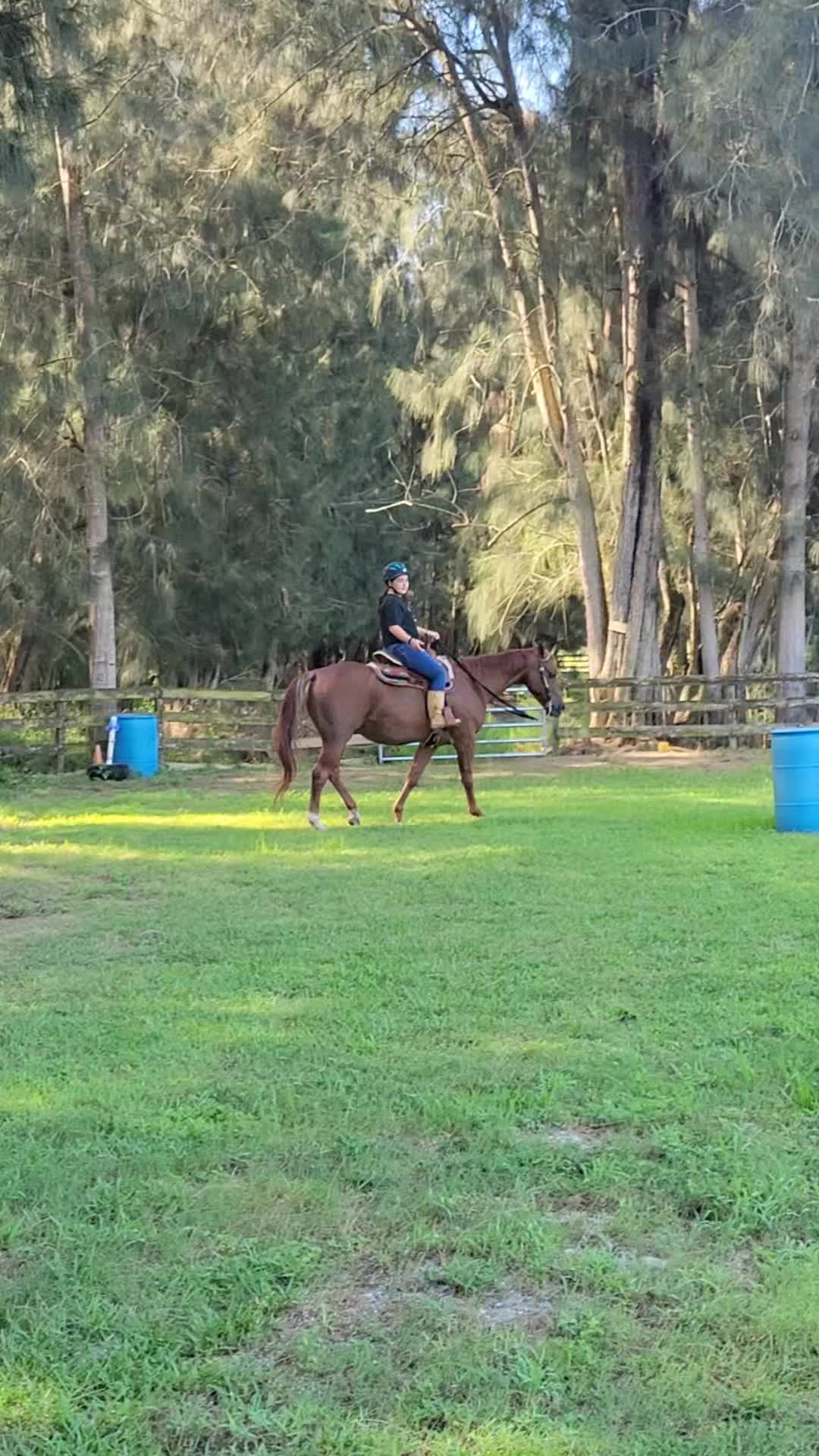 @Flhorselife772