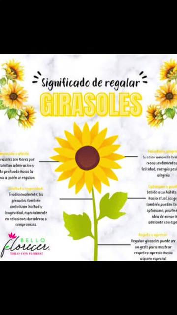 @👽👑🐊Dámaris🌻🍀🐦🔥🍩🩵👧🏻