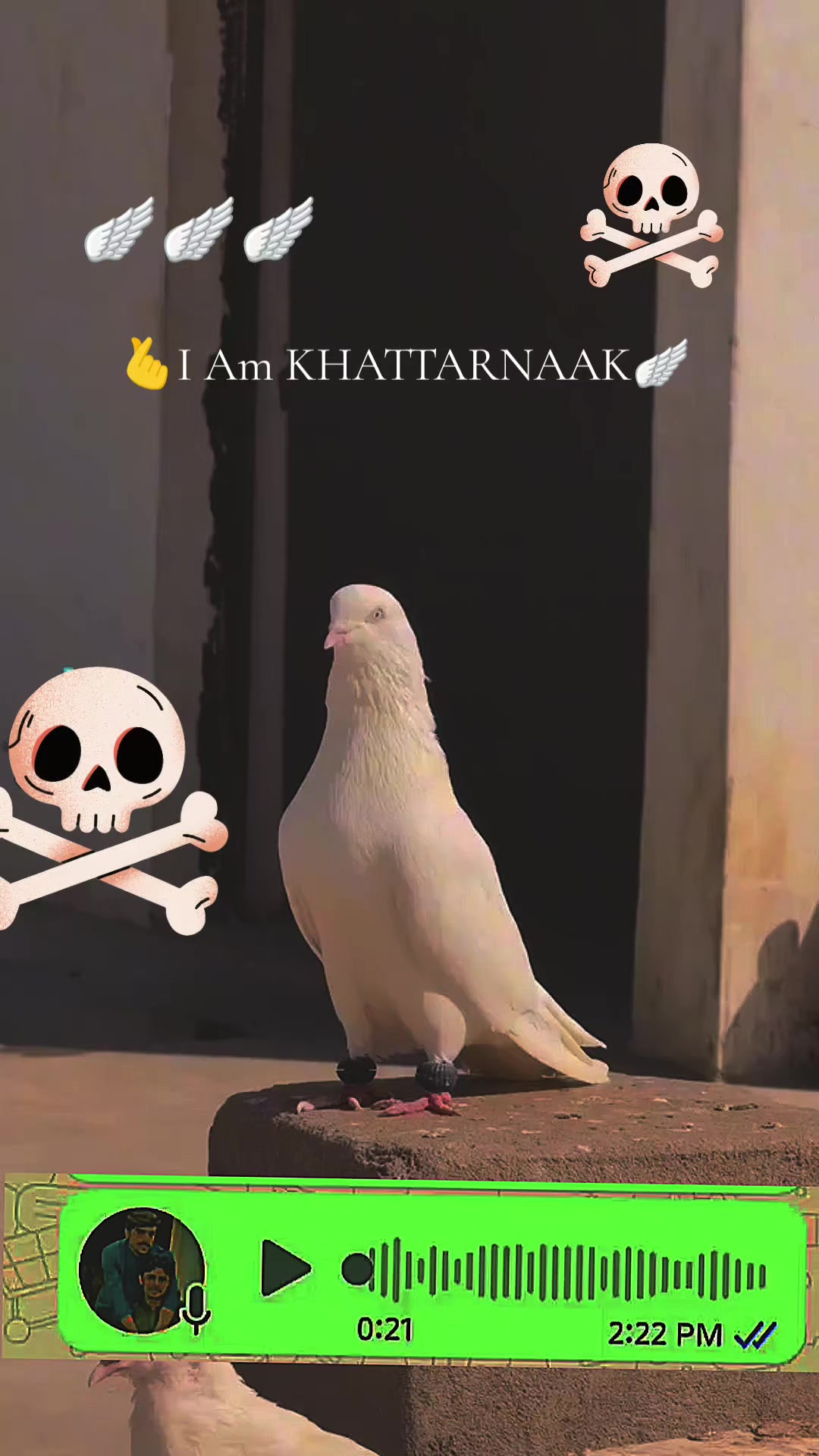 @🛠️🦯KHATTR🤕NAAk67🛠️🦯