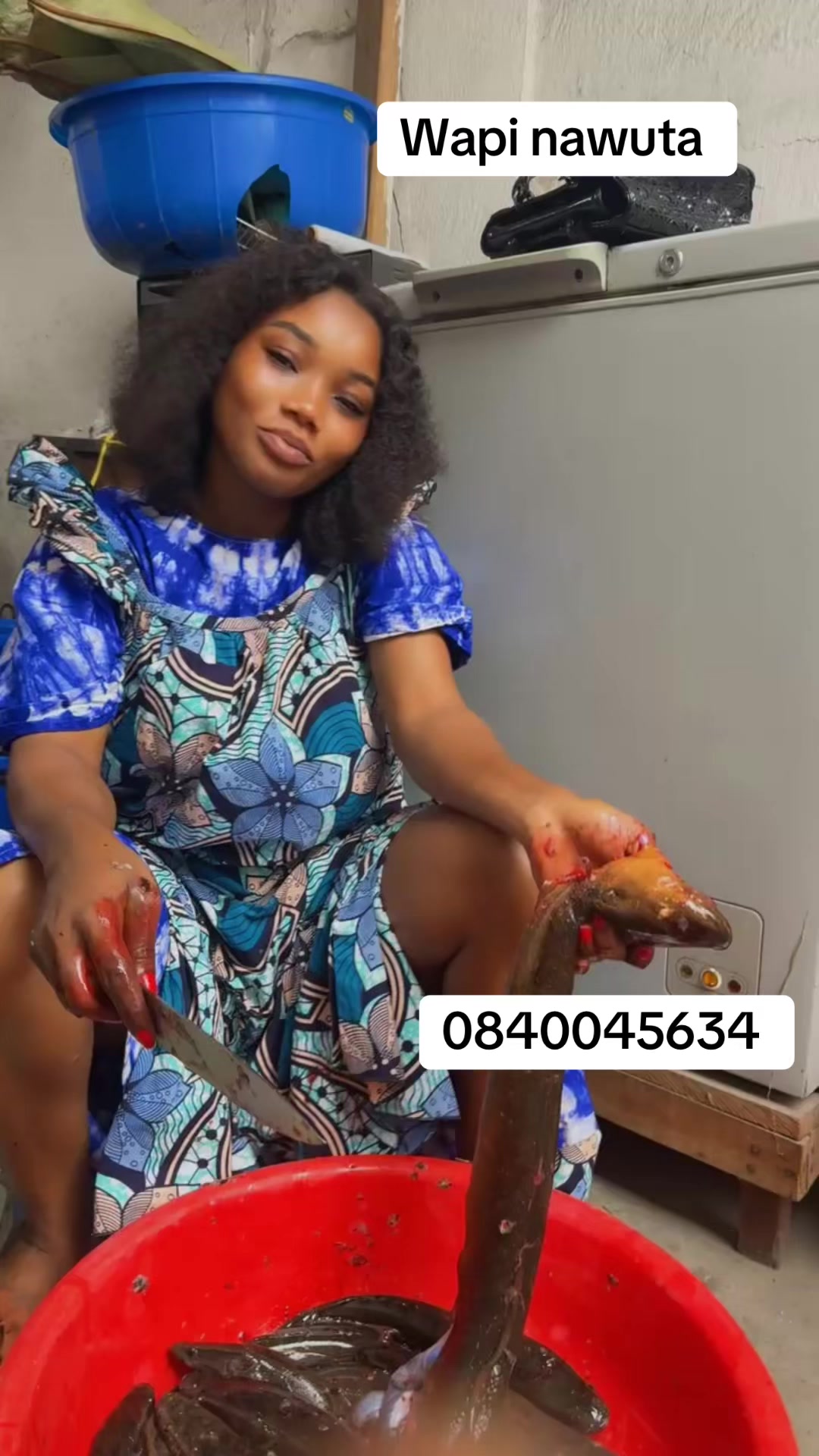 @elise bombula 88