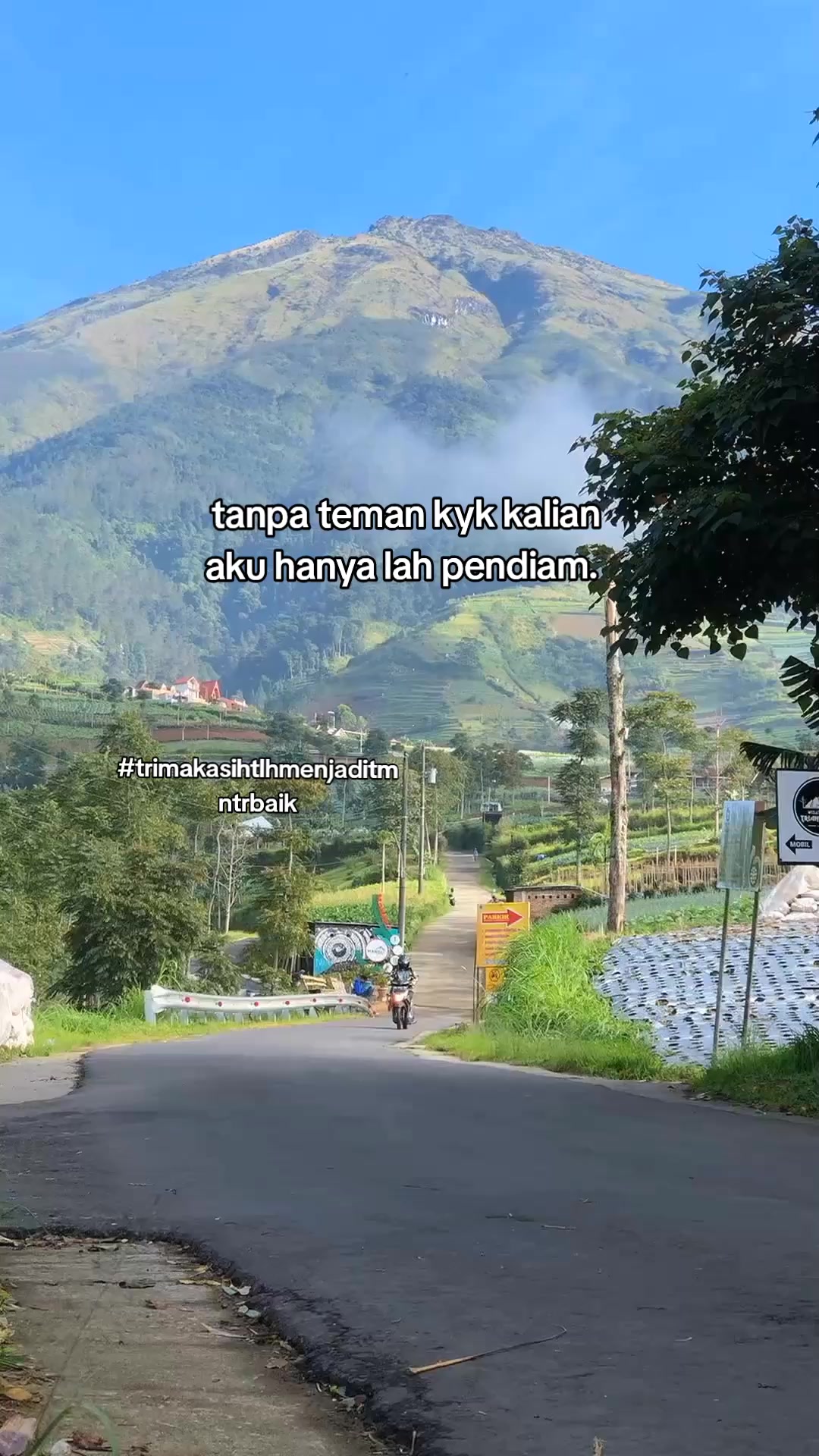 @wong spele🥀
