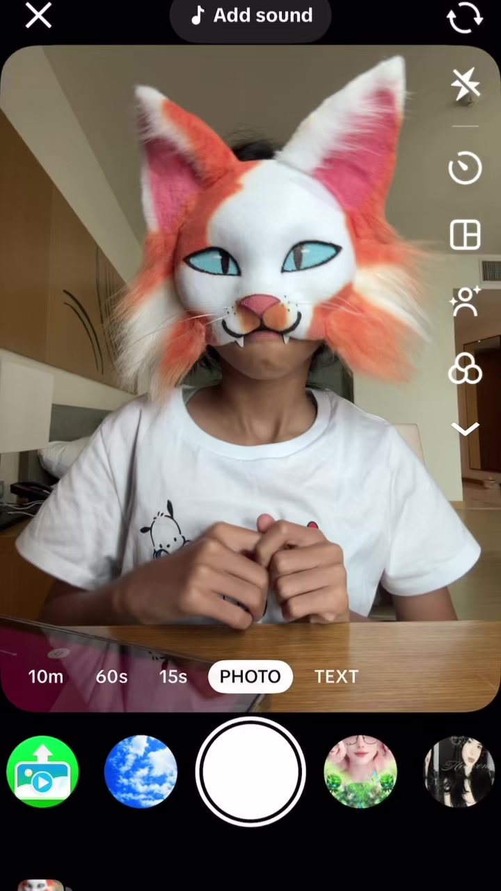 @𝐌𝐚𝐩𝐥𝐞𝐩𝐚𝐰𝐬𖾕𖾝꙼ᩚ𛲕𖾟🍁