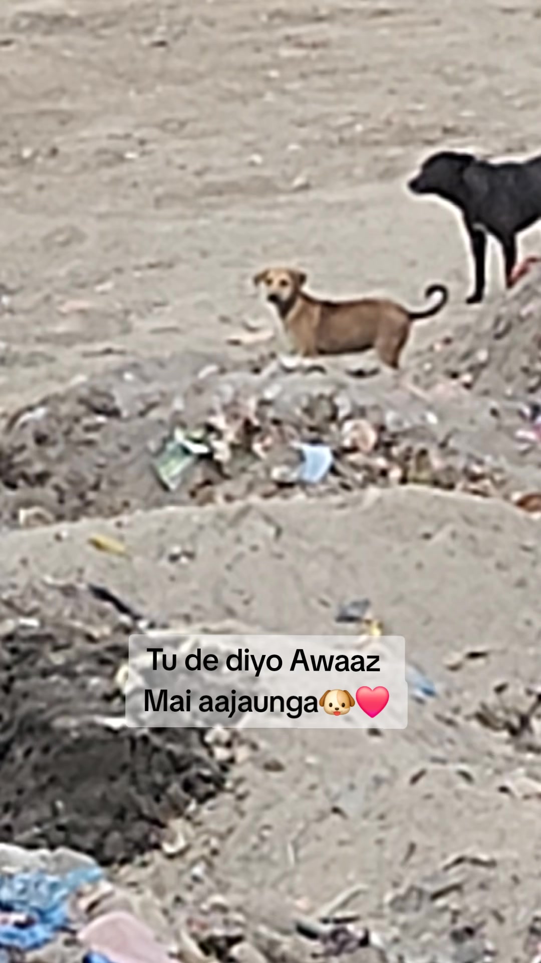 @Kathmandu Locals
