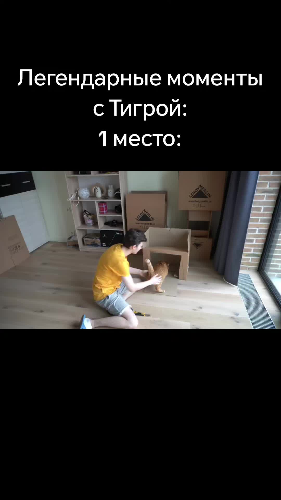 @brianmapsuperfanaccountyouknow