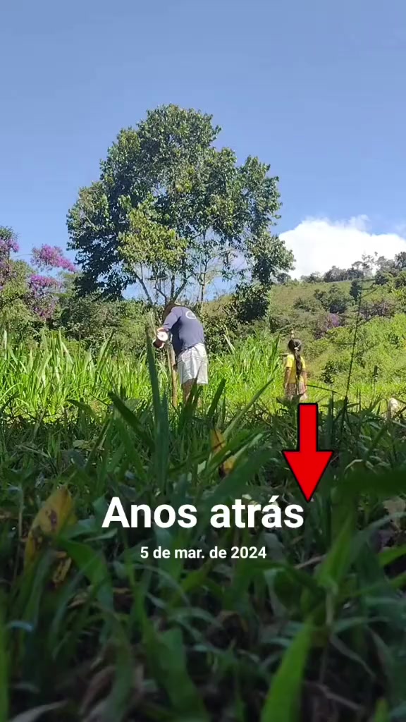 @Boiadeiro cuido !